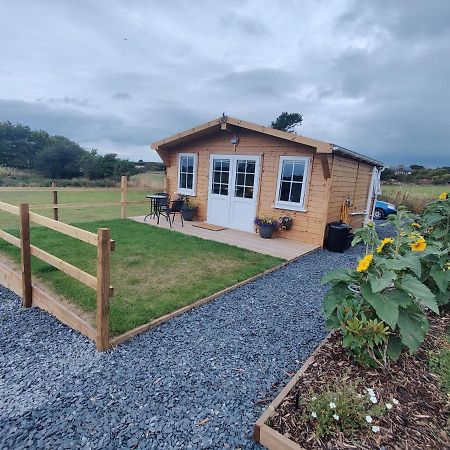 Bumble Bee Cabin Bootle  ภายนอก รูปภาพ