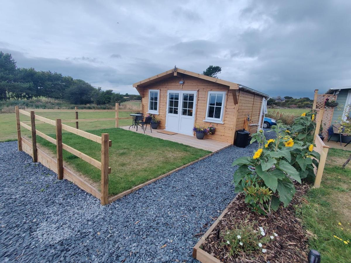 Bumble Bee Cabin Bootle  ภายนอก รูปภาพ